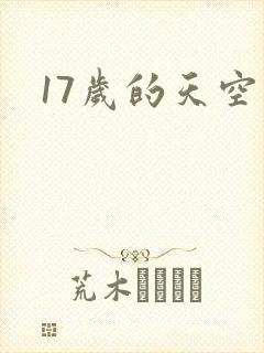 17岁的天空