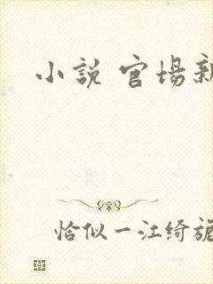 小说 官场新贵