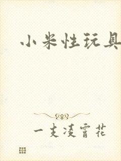 小米性玩具日记