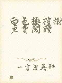 白色橄榄树全文免费阅读