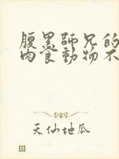 腹黑师兄的日常肉食动物不食草