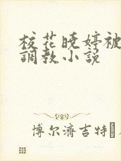 校花晓婷被混混调教小说