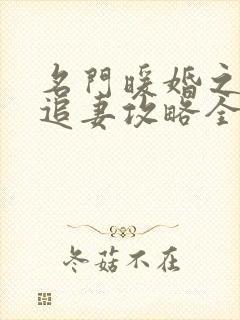 名门暖婚之权爷追妻攻略全文免费阅读