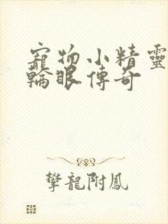 宠物小精灵之写轮眼传奇