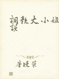 调教大小姐的小说