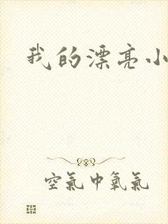 我的漂亮小后妈