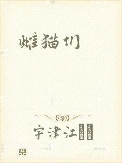 雌猫们
