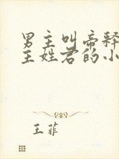 男主叫帝释天女主姓君的小说