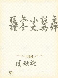 张冬小说免费阅读全文无弹窗封面