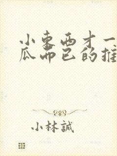 小东西才一根黄瓜而已的推荐书