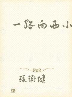 一路向西小说