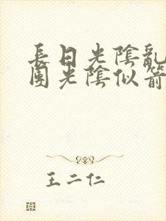 长日光阴乱作一团光阴似箭必读