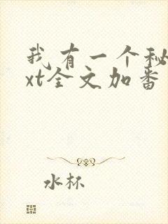 我有一个秘密txt全文加番外封面