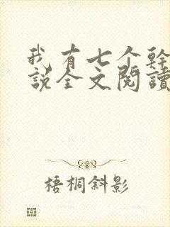 我有七个干妈小说全文阅读