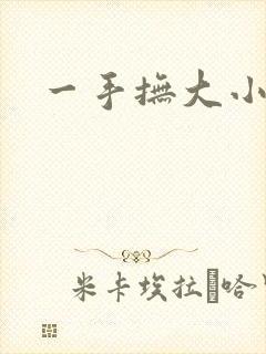 一手抚大小说