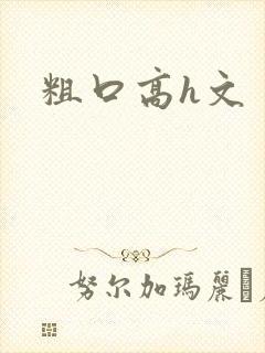 粗口高h文