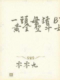 一头母猪 BY 黄金圣斗士