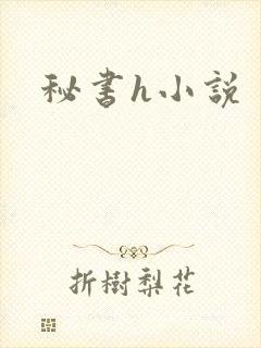 秘书h小说封面
