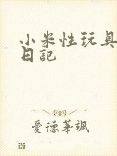 小米性玩具羞辱日记封面