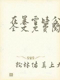 在暴雪时分小说全文免费阅读