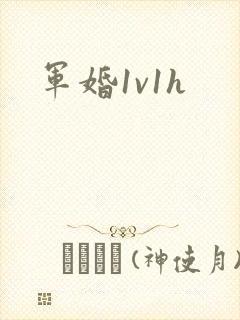 军婚1v1h