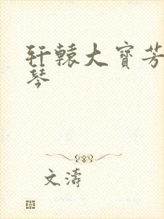 轩辕大宝芳菲雅琴