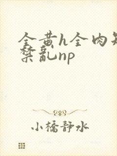 全黄h全肉短篇禁乱np封面