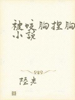 被咬胸捏胸吻胸小说