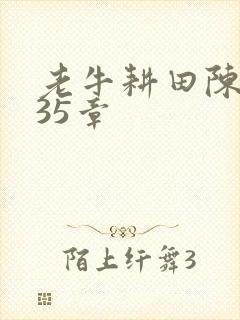 老牛耕田陈雪435章