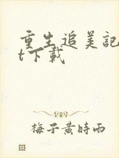 重生追美记txt下载封面