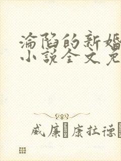 沦陷的新婚少归小说全文免费阅读正