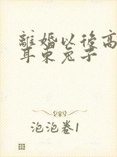 离婚以后高干 耳东兔子封面