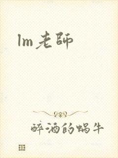 lm老师