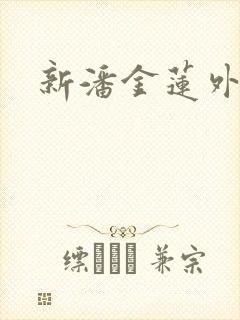 新潘金莲外传封面