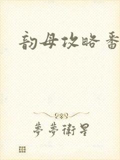 韵母攻略番外封面