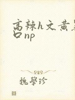 高辣h文黄暴粗口np