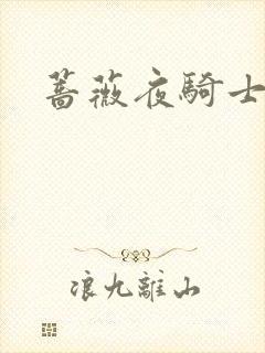 蔷薇夜骑士