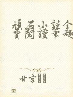 顽石小说全文免费阅读笔趣阁