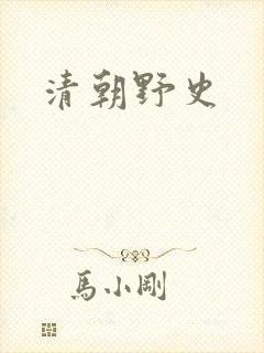 清朝野史封面