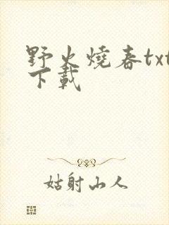 野火烧春txt下载