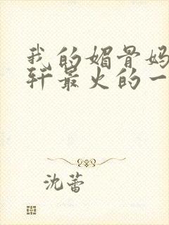 我的媚骨妈妈林轩最火的一句