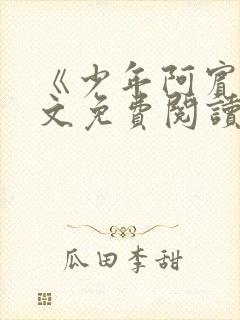 《少年阿宾》全文免费阅读