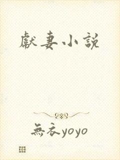 献妻小说封面