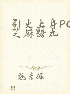 引火上身POP芝麻糖丸