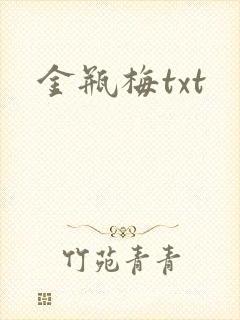 金瓶梅txt封面