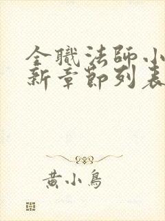 全职法师小说最新章节列表免费