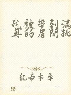 我被带到满是玩具的房间挑调游戏