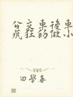 公交车后车座的疯狂的做小