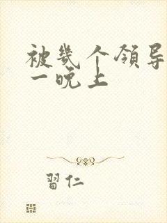 被几个领导玩弄一晚上