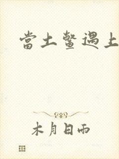 当土鳖遇上海龟